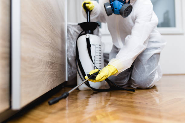 Best Pest Removal Services  in Winchester, VA
