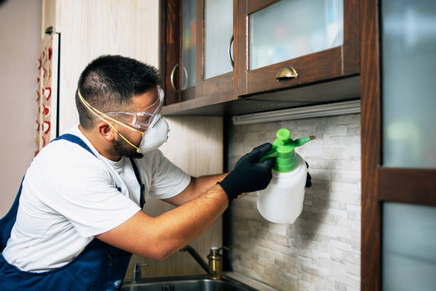 Best Local Pest Control Services  in Winchester, VA