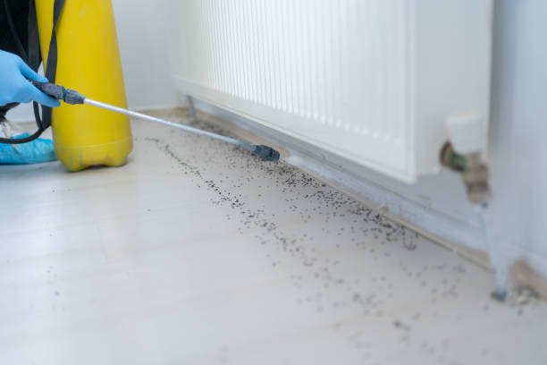 Best Affordable Pest Control Services  in Winchester, VA